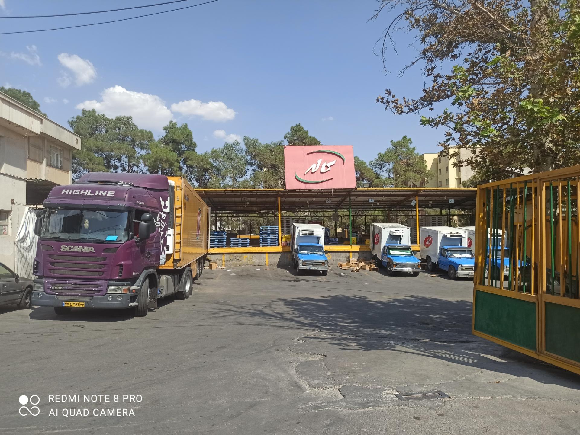 عکس کاله شیراز