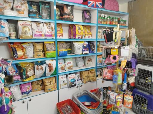 عکس پت شاپ رسپینا