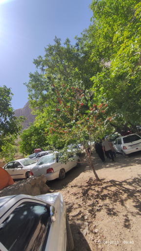 عکس مجموعه گردشگری طاق سبز 